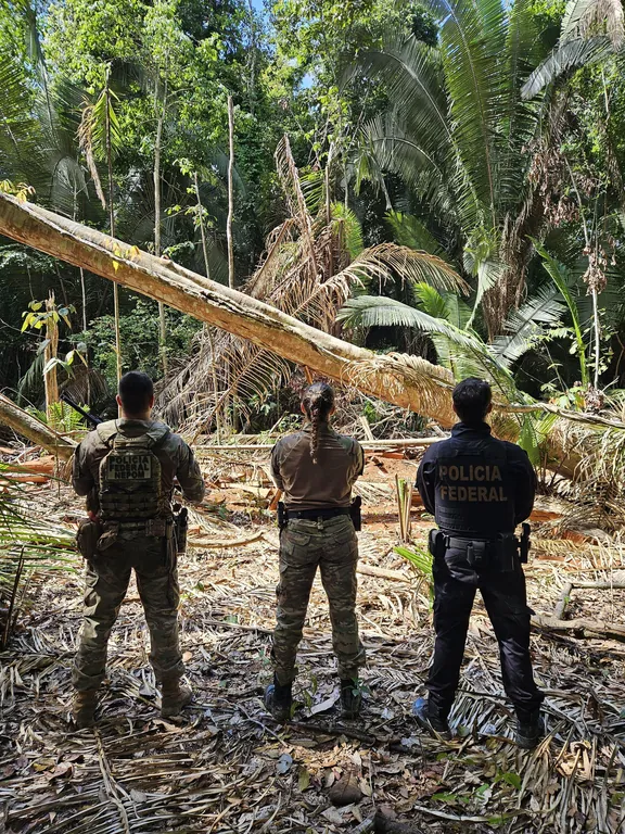COMBATE OSTENSIVO - PF deflagra operação contra crimes ambientais em Terra Indígena em Rondônia 
